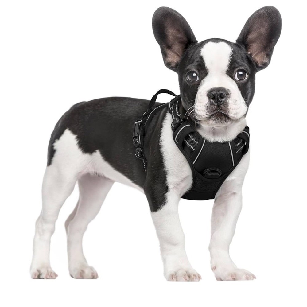 NWT Dog Harness No Pull with 2 Leash Clips Adjustable Soft Padded Reflective